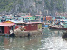 Village flottant - Ile de Cat Ba - Vietnam